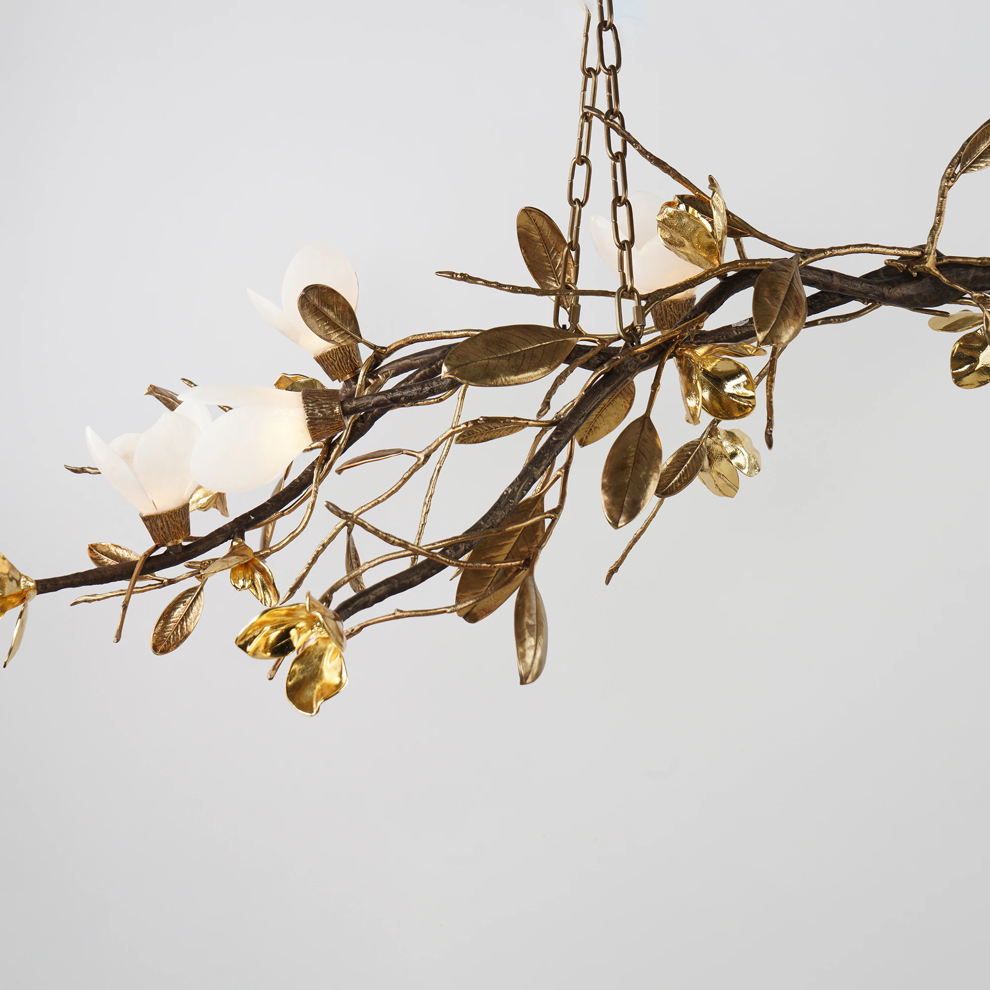 Quattrefoil Luxury Decor & Lighting