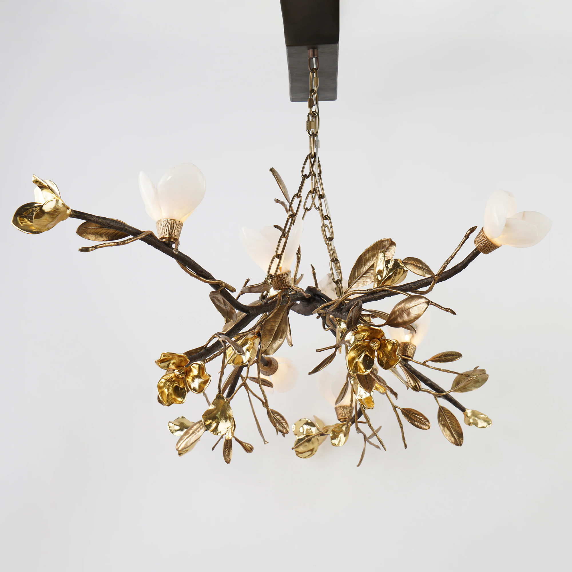 Quattrefoil Luxury Decor & Lighting